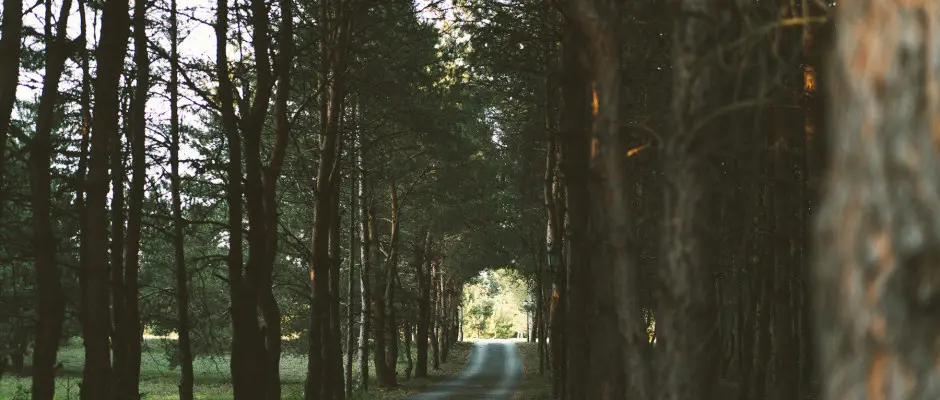 Szllodba vezet bekt t - a Bodrogi Kria ajnlsval