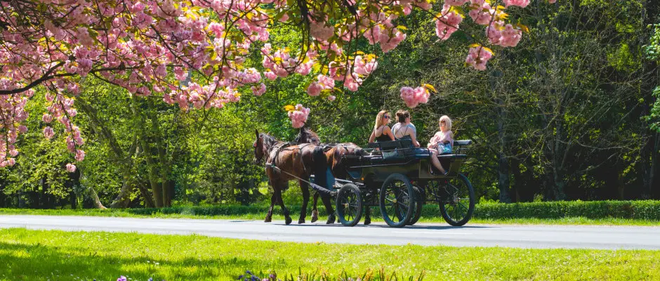 Lovashint - a Boni Csaldi Wellness Hotel ajnlsval