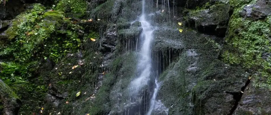Ilona vzess - a Borka Panzi ajnlsval
