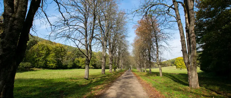 Pardfrd - a Borka Panzi ajnlsval