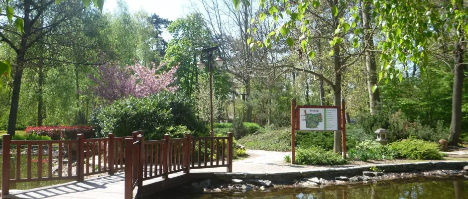 Kist a szlloda mellett - a CE Napfny Hotel ajnlsval