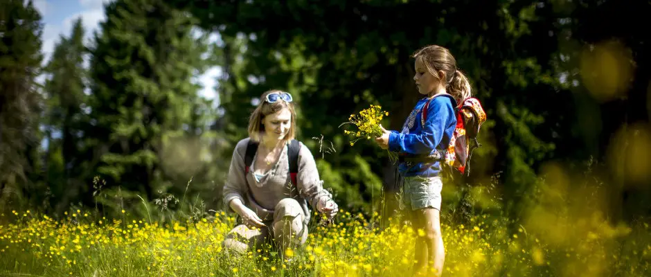 Kreischberg - csaldi kirnduls nyr - a Club Hotel am Kreischberg ajnlsval