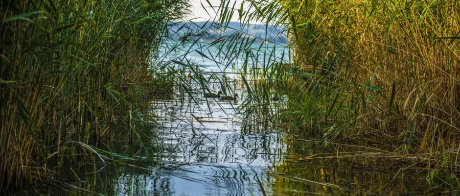 Balaton - a Club Tihany Hotel ajnlsval