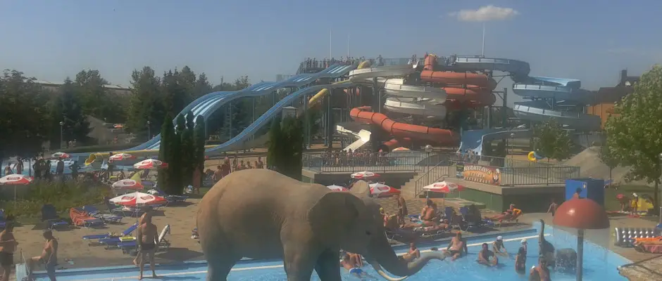 Aqua Park - a Deák Vendégház ajánlásával