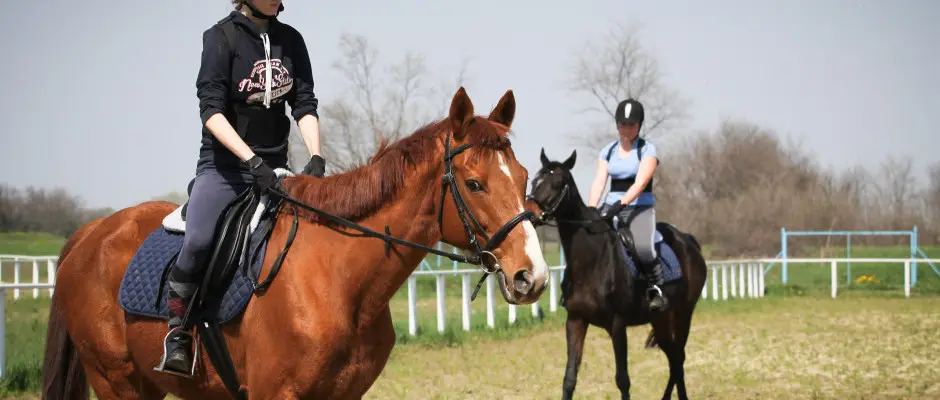 Fut-Dob Lovaskzpont - az Hotel Elixr ajnlsval