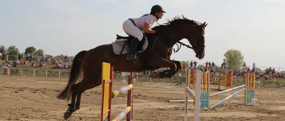 Fut-Dob Lovaskzpont - az Hotel Elixr ajnlsval