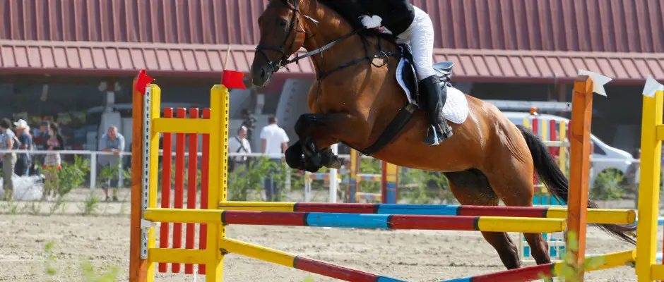 Fut-Dob Lovaskzpont - az Hotel Elixr ajnlsval