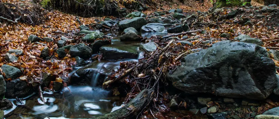 Kirndulsi lehetsg - az Erzsbet Park Hotel ajnlsval