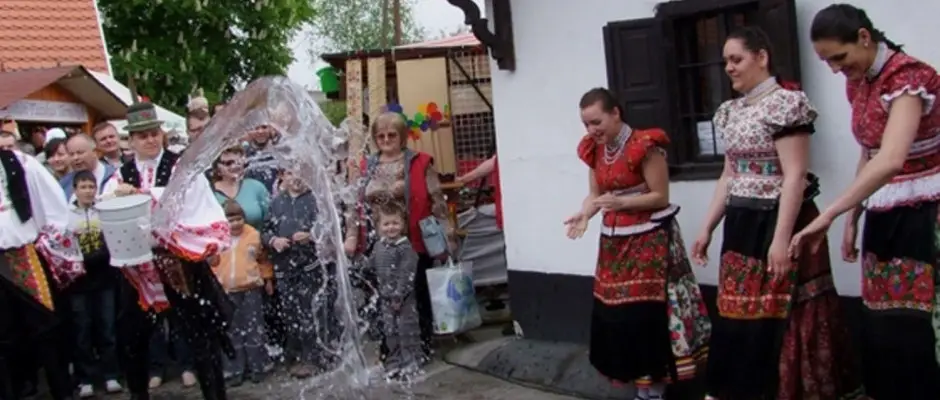 Maty hsvt - a Feny Panzi ajnlsval