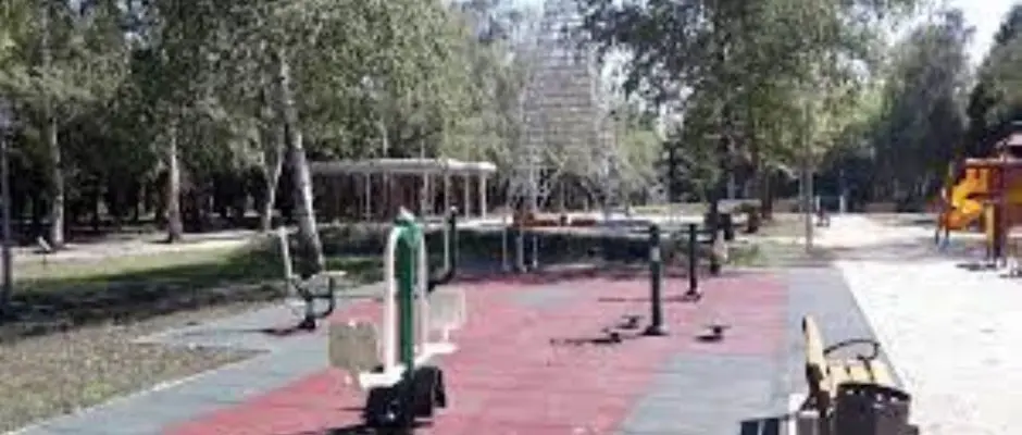 Zsry frd - park - a Feny Panzi ajnlsval