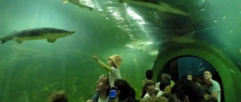 Poroszl - Tisza tavi kocentrum - a Feny Panzi ajnlsval