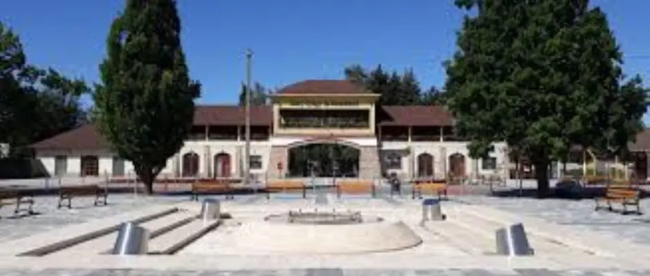 Zsry Gygyfrd fbejrat - a Feny Panzi ajnlsval