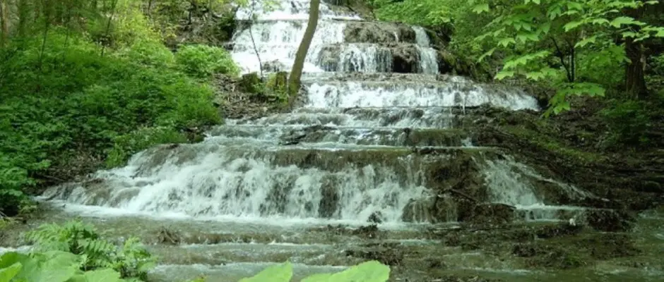 Szilvsvrad - a Feny Panzi ajnlsval