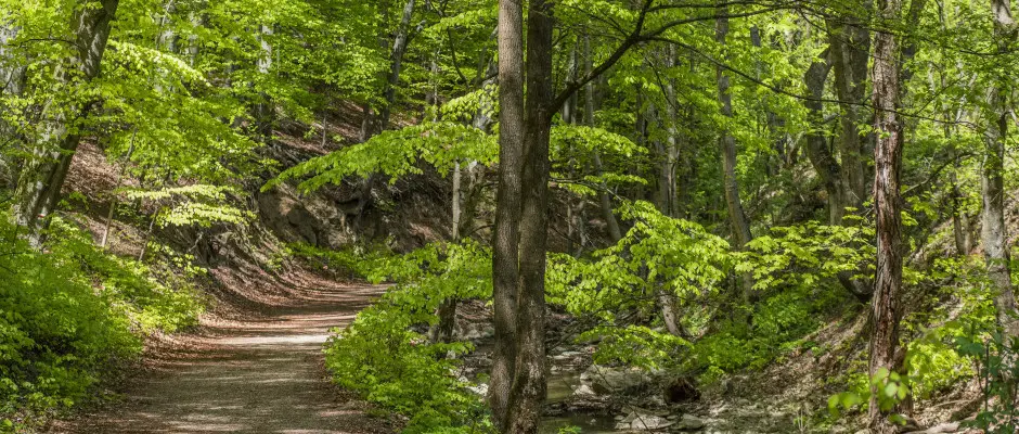 Cuha-vlgy - a Ferrata Vendghz ajnlsval