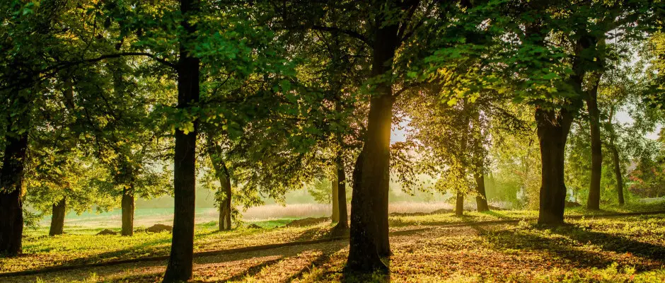 Kastlypark - a Fnix Wellness Resort ajnlsval