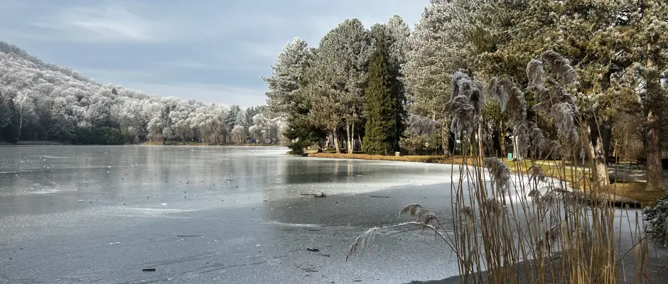 Kzeli t - a Fortuna Apartman ajnlsval