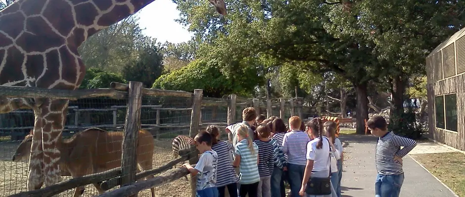 Xantus Jnos llatkert - a Golden Ball Club Hotel ajnlsval