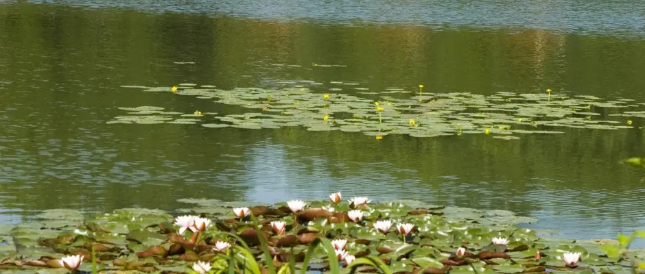 Szabadid kzpontunk nyron - a Gosztola Gyngye Hotel ajnlsval