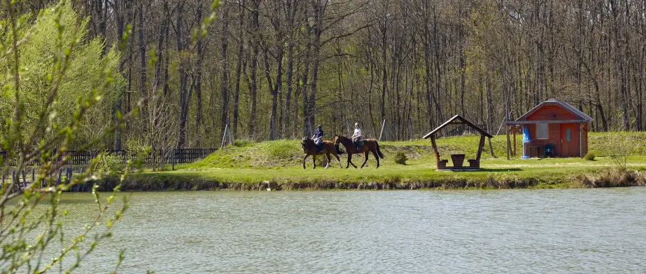 Szabadid kzpontunk nyron - a Gosztola Gyngye Hotel ajnlsval