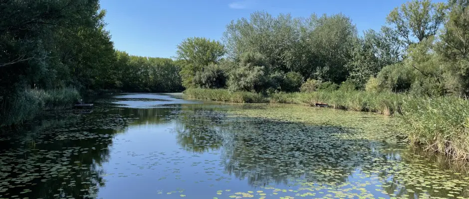 Holtg - a Gyirmt Sport & Wellness Hotel ajnlsval