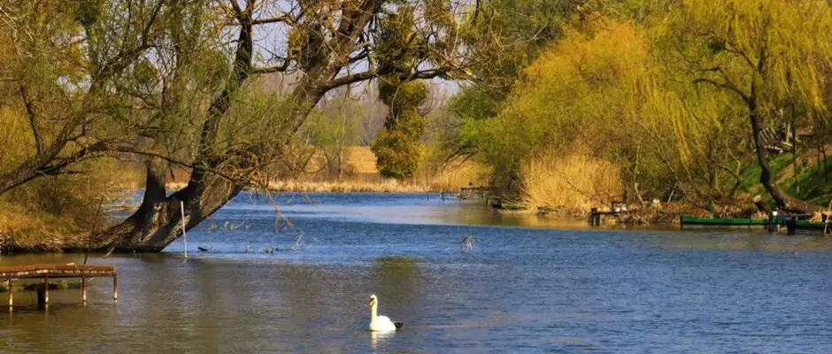 Gyirmt Holtg - a Gyirmt Sport & Wellness Hotel ajnlsval