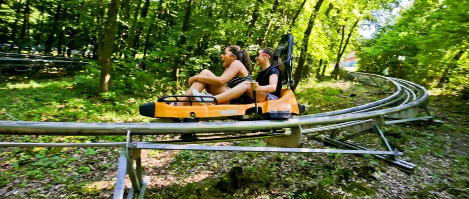 Bob - az Aliz Villa ajnlsval