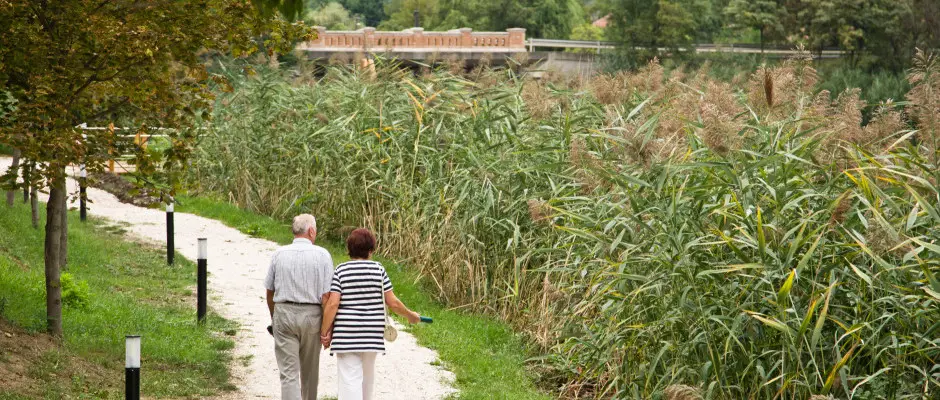 Gyomaendrd, Erzsbet-liget - a Hrs Therml Hotel ajnlsval
