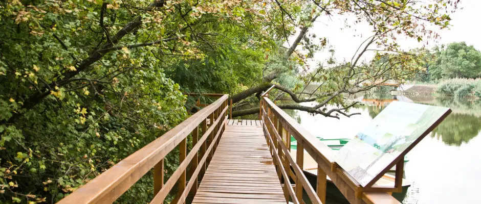 Gyomaendrd, Erzsbet-ligeti lombkorona stny s kilt - a Hrs Therml Hotel ajnlsval