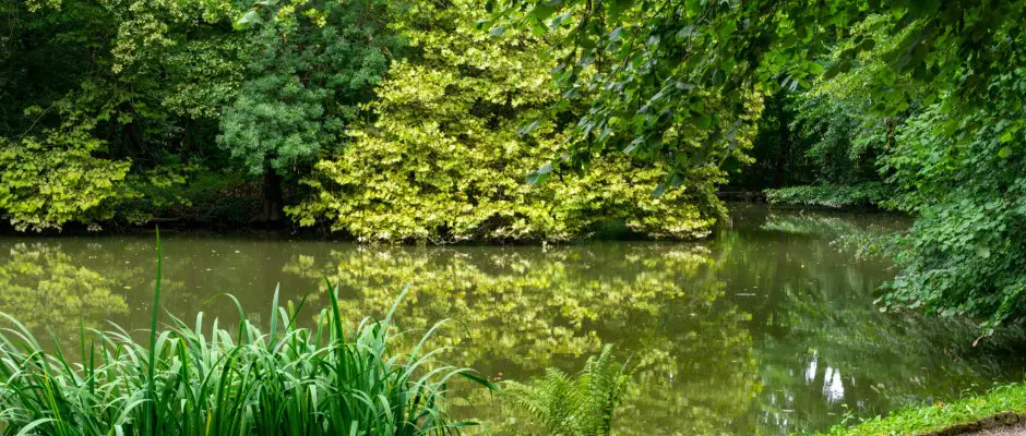 Arborétum - az Ensana Thermal Sárvár ajánlásával