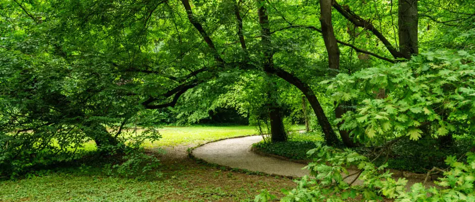 Arborétum - az Ensana Thermal Sárvár ajánlásával