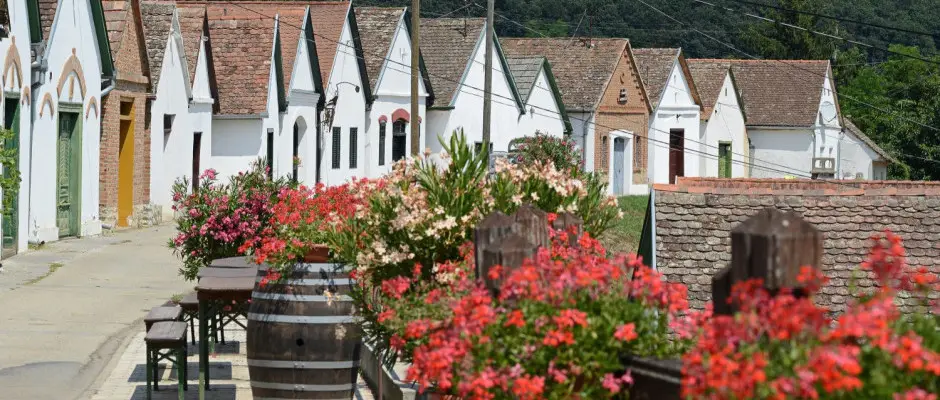 Villnykvesdi Pincesor - a Hotel Cabernet ajnlsval