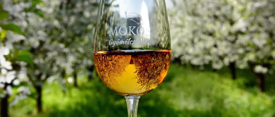 Mokos gymlcss s gymlcsbor - a Hotel Cabernet ajnlsval