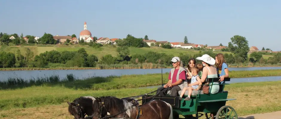 Lovaskocsikzs a Villny Borvidken - a Hotel Cabernet ajnlsval