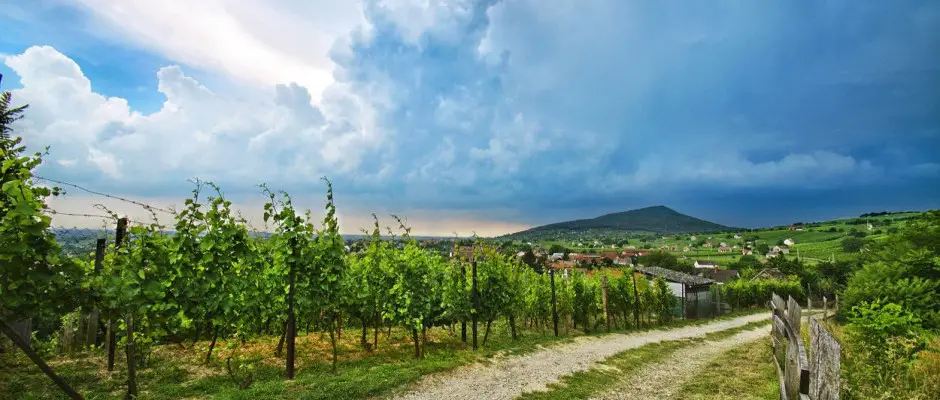 Csods krnyk - a Hotel Cabernet ajnlsval