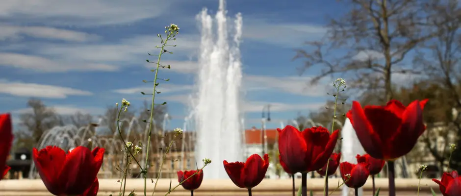 Szkkt - a Hotel Centrl ajnlsval