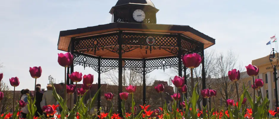 Ftr Pavilon - a Hotel Centrl ajnlsval