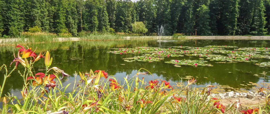 Terml t Zalakaroson - a Hotel Freya ajnlsval