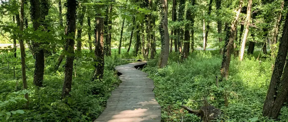 Tansvny - a Hotel Freya ajnlsval