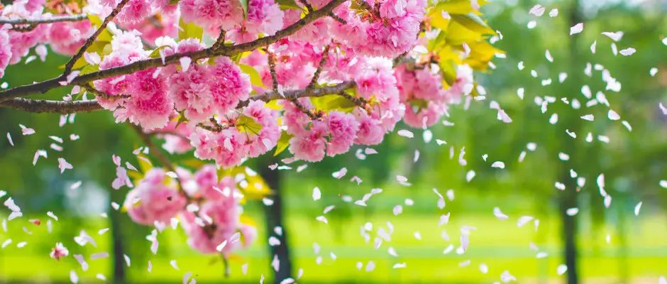 Tavasz - a Hotel Karos Spa ajnlsval