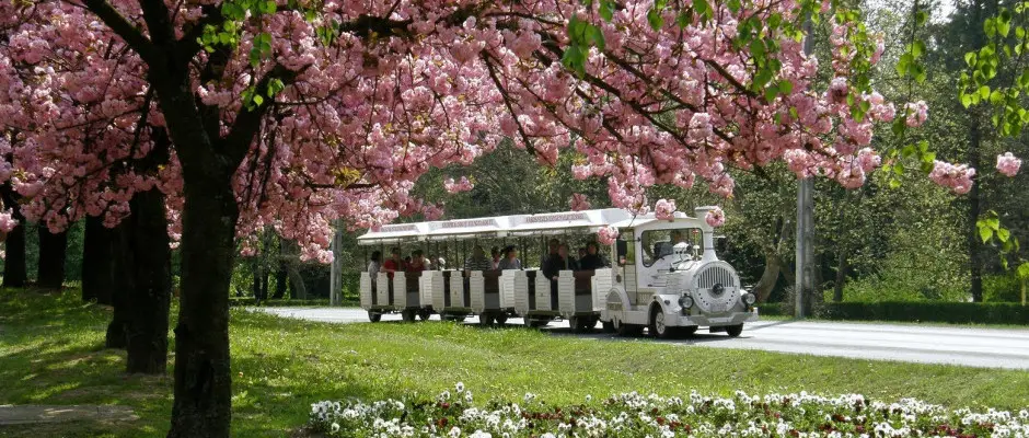 Dott - a Hotel Karos Spa ajnlsval