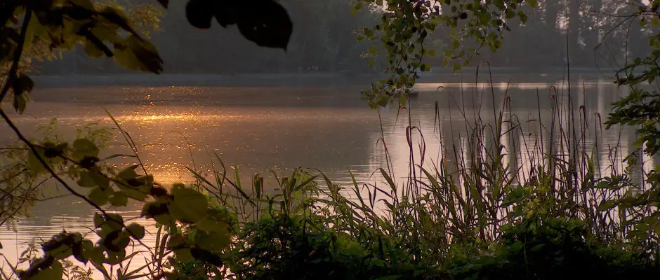 Cseke t - a Hotel Kiss ajnlsval