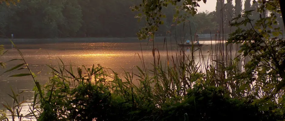 Cseke t - a Hotel Kiss ajnlsval