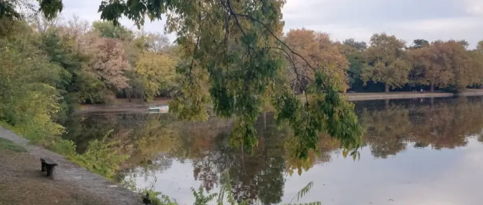 Cseke t - a Hotel Kiss ajnlsval