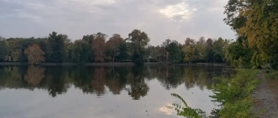 Cseke t - a Hotel Kiss ajnlsval