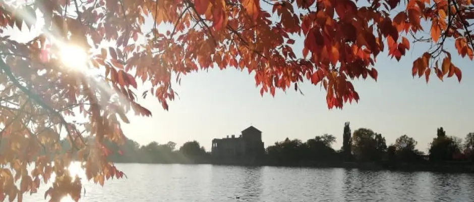 sz - a Hotel Kiss ajnlsval