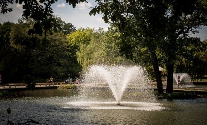 Nagyerdő - a Hotel Lycium ajánlásával