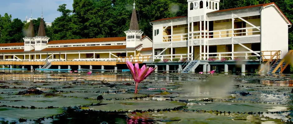 Hvzi Gygyt - a Majerik Hotel ajnlsval