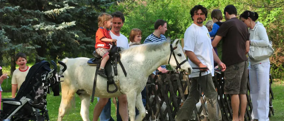 Zalakaros - Behikpuszta - a Hotel MenDan ajnlsval
