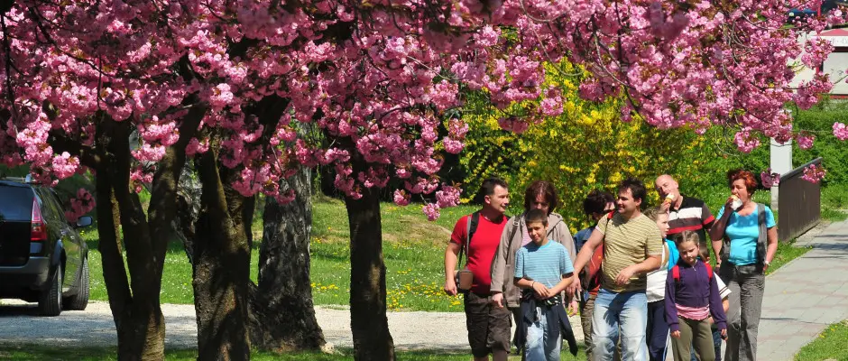Zalakaros - stny - a Hotel MenDan ajnlsval