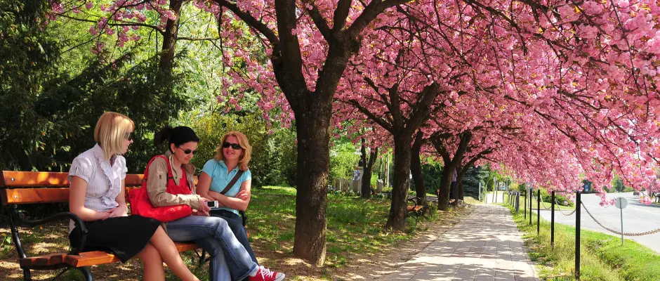Zalakaros - stny - a Hotel MenDan ajnlsval